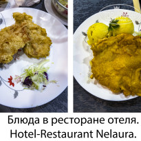 фото из отзыва ID 2664192