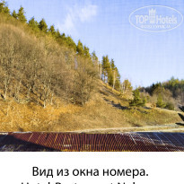 фото из отзыва ID 2664192