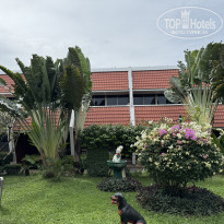 фото из отзыва ID 2664211