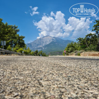 фото из отзыва ID 2664265