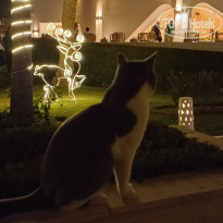 фото из отзыва ID 2664304