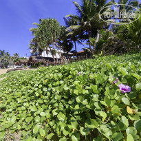 фото из отзыва ID 2664362