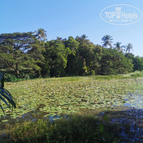 фото из отзыва ID 2664400