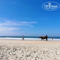 фото из отзыва ID 2664400