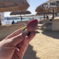 фото из отзыва ID 2664408