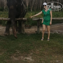 фото из отзыва ID 2661156