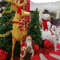 фото из отзыва ID 2663549