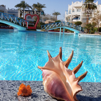 фото из отзыва ID 2664427