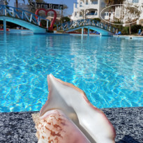 фото из отзыва ID 2664427