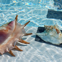 фото из отзыва ID 2664427