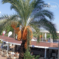 фото из отзыва ID 2664481