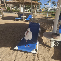 фото из отзыва ID 2664494