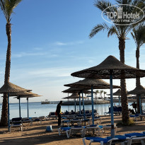 фото из отзыва ID 2663965