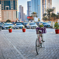 фото из отзыва ID 2663952