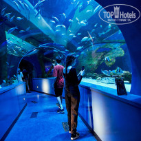 фото из отзыва ID 2663952