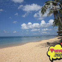 фото из отзыва ID 2664555