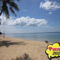 фото из отзыва ID 2664555