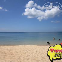 фото из отзыва ID 2664555