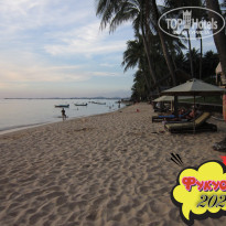 фото из отзыва ID 2664555