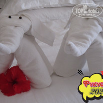 фото из отзыва ID 2664555