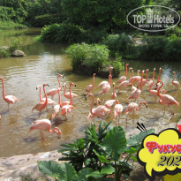 фото из отзыва ID 2664555