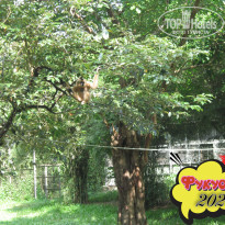 фото из отзыва ID 2664555