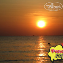 фото из отзыва ID 2664555