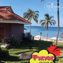 фото из отзыва ID 2664555