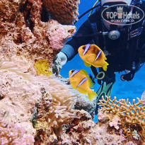 фото из отзыва ID 2664557