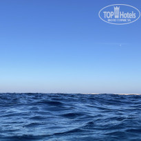 фото из отзыва ID 2664557