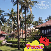 фото из отзыва ID 2664555