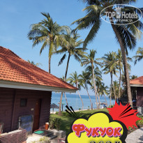 фото из отзыва ID 2664555