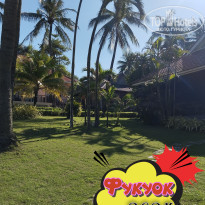 фото из отзыва ID 2664555