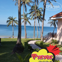 фото из отзыва ID 2664555