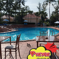 фото из отзыва ID 2664555