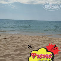 фото из отзыва ID 2664555