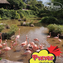 фото из отзыва ID 2664555