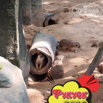 фото из отзыва ID 2664555