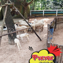 фото из отзыва ID 2664555