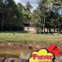 фото из отзыва ID 2664555