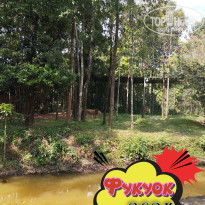 фото из отзыва ID 2664555