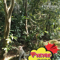 фото из отзыва ID 2664555