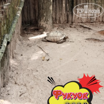 фото из отзыва ID 2664555