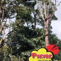 фото из отзыва ID 2664555