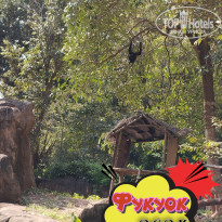 фото из отзыва ID 2664555