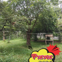 фото из отзыва ID 2664555