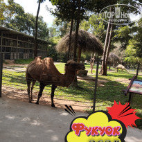 фото из отзыва ID 2664555