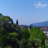 фото из отзыва ID 2664562