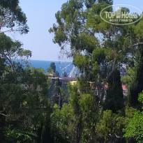 фото из отзыва ID 2664562