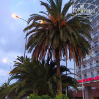 фото из отзыва ID 2664562